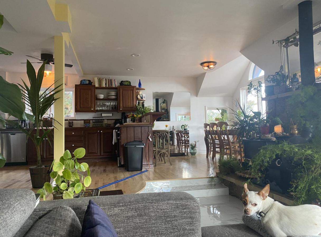 Boulder Best City And Nature With Lake And Trails Pets Ok מראה חיצוני תמונה